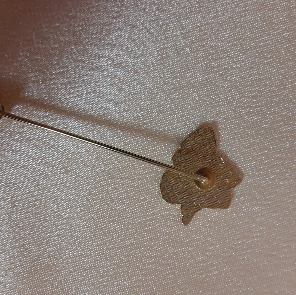 Vintage Cloisonne brooch and hat pin set - Picture 2 of 8